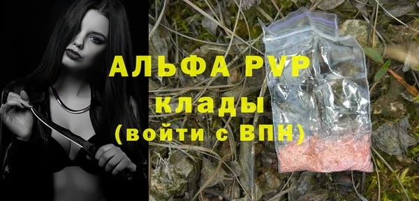 ECSTASY Лиски