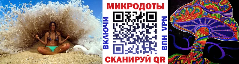 Галлюциногенные грибы Psilocybine cubensis  Туапсе 